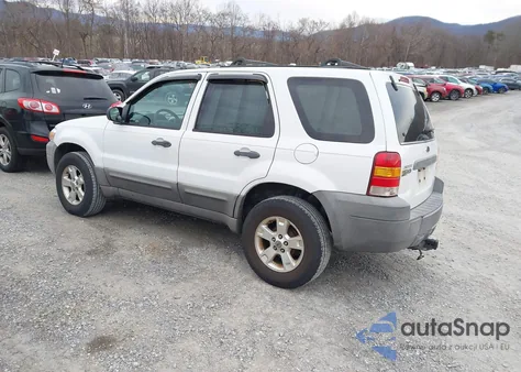 2007 Ford Escape Xlt z USA, uszkodzony, nr VIN 1FMYU03ZX7KA61187